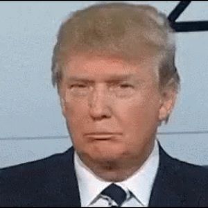 Meet your Posher, Maxwell